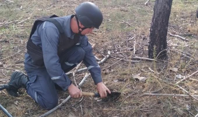 Піротехніками на Луганщині вилучено 31 одиницю вибухонебезпечних предметів Піротехніками на Луганщині вилучено 31 одиницю вибухонебезпечних предметів