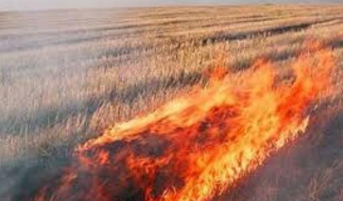 Заходи тушіння пожежі в полях Заходи тушіння пожежі в полях