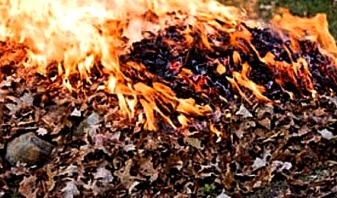 Перш ніж палити листя – добре подумай Перш ніж палити листя – добре подумай