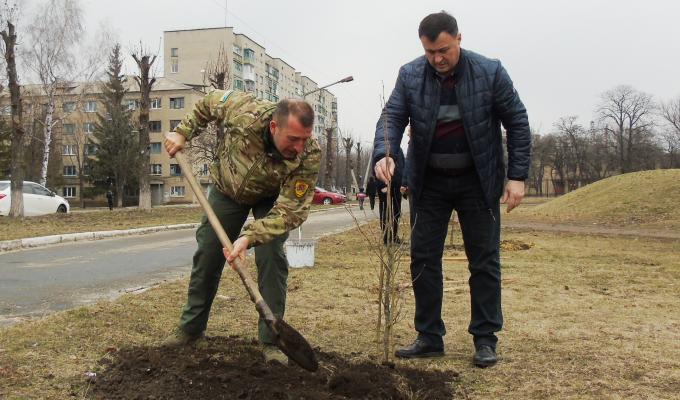 В Попасній висадили алею дерев В Попасній висадили алею дерев