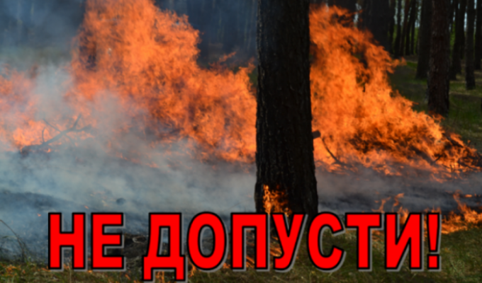 З настанням весняно - літнього періоду збільшується кількість пожеж в природних екосистемах З настанням весняно - літнього періоду збільшується кількість пожеж в природних екосистемах