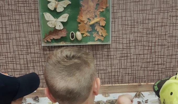 05 червня вихованці Попаснянської районної дитячо-юнацької спортивної школи відвідали інтерактивне заняття у музеї 05 червня вихованці Попаснянської районної дитячо-юнацької спортивної школи відвідали інтерактивне заняття у музеї