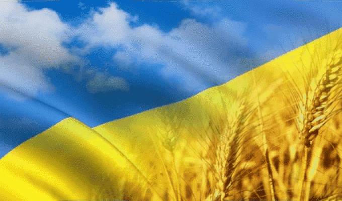Привітання виконуючого обов’язки голови – керівника районної військово-цивільної адміністрації з Днем працівників державної виконавчої служби Привітання виконуючого обов’язки голови – керівника районної військово-цивільної адміністрації з Днем працівників державної виконавчої служби