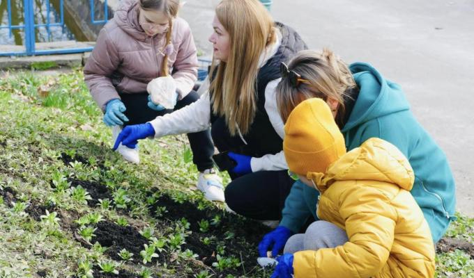 У Калуші на Франківщині з’явилась тюльпанова клумба "ВПО Луганщини" У Калуші на Франківщині з’явилась тюльпанова клумба "ВПО Луганщини"