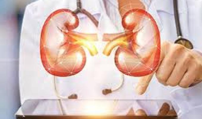 Увага! Лікар-уролог проводитиме прийом Увага! Лікар-уролог проводитиме прийом