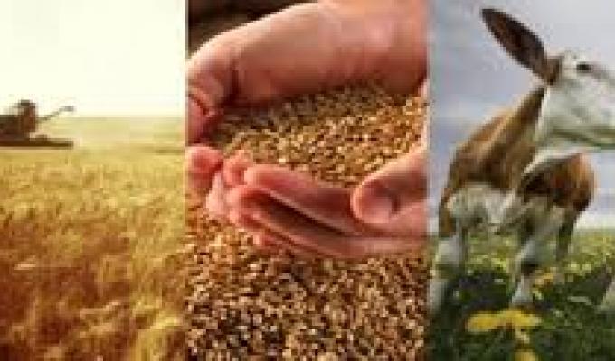 Тренінги з розвитку сільських організацій Тренінги з розвитку сільських організацій