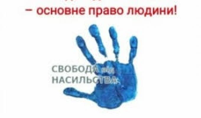 ДОМАШНЄ НАСИЛЬСТВО: КОГО І ЗА ЩО КАРАЄ ЗАКОН? ДОМАШНЄ НАСИЛЬСТВО: КОГО І ЗА ЩО КАРАЄ ЗАКОН?