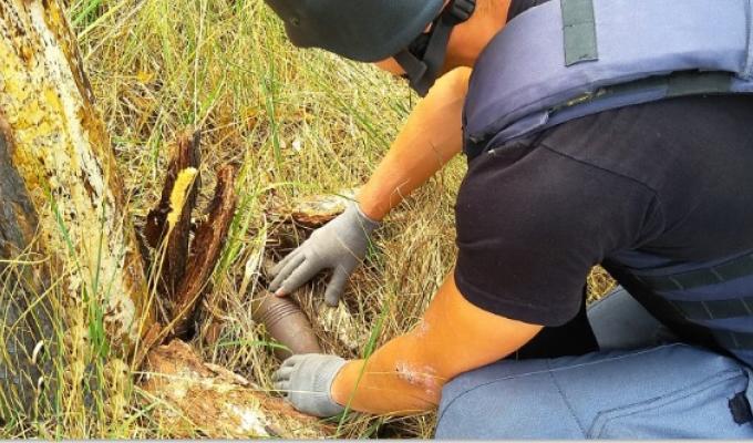 Піротехніками на Луганщині вилучено 14 одиниць вибухонебезпечних предметів Піротехніками на Луганщині вилучено 14 одиниць вибухонебезпечних предметів