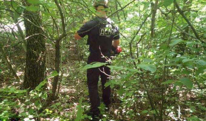 Піротехніками на Луганщині перевірено 2,1 га території області Піротехніками на Луганщині перевірено 2,1 га території області