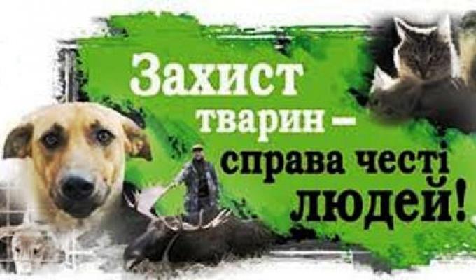 Закликаємо небайдужих створити громадську організацію по забезпеченню захисту безпритульних тварин! Закликаємо небайдужих створити громадську організацію по забезпеченню захисту безпритульних тварин!