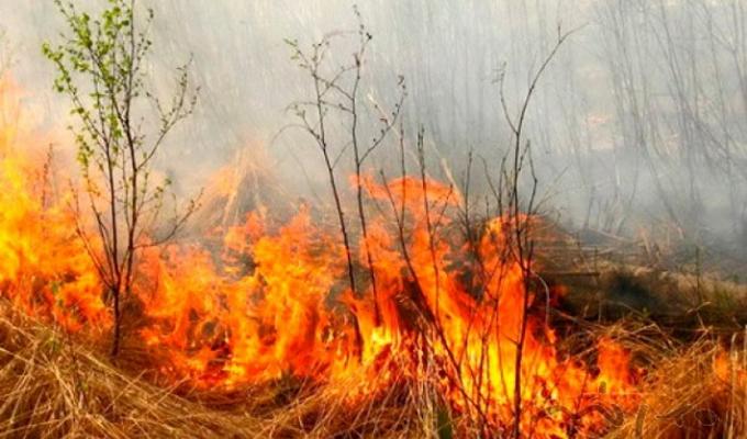 Попаснянський міськрайонний відділ Головного Управління ДСНС України у Луганській області закликає дотримуватись правил пожежної безпеки Попаснянський міськрайонний відділ Головного Управління ДСНС України у Луганській області закликає дотримуватись правил пожежної безпеки