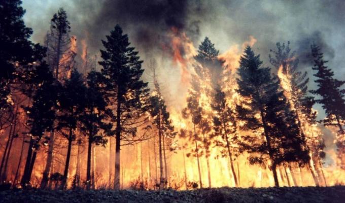 УВАГА! РІВЕНЬ ПОЖЕЖОНЕБЕЗПЕЧНОЇ СИТУАЦІЇ – ЖОВТИЙ!!! УВАГА! РІВЕНЬ ПОЖЕЖОНЕБЕЗПЕЧНОЇ СИТУАЦІЇ – ЖОВТИЙ!!!