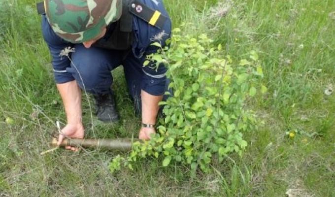 Піротехніками на Луганщині вилучено 29 одиниць вибухонебезпечних предметів Піротехніками на Луганщині вилучено 29 одиниць вибухонебезпечних предметів