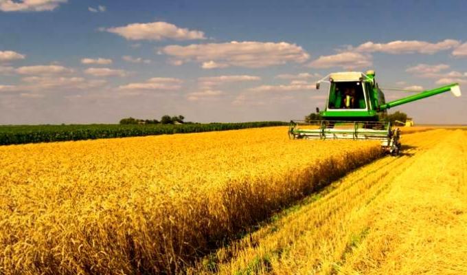 У Попаснянському районі тривають жнива ранніх зернових культур У Попаснянському районі тривають жнива ранніх зернових культур