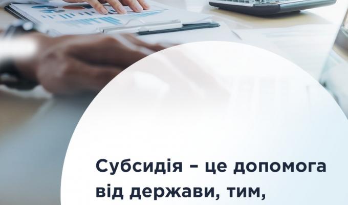 Субсидія – це допомога від держави, тим, хто цього потребує Субсидія – це допомога від держави, тим, хто цього потребує
