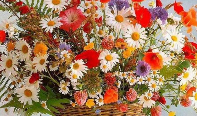 Попаснянська районна державна адміністрація щиро вітає управління Державної казначейської служби України у Попаснянському районі з 25-річчям Попаснянська районна державна адміністрація щиро вітає управління Державної казначейської служби України у Попаснянському районі з 25-річчям