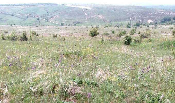 Відбулася виїзна нарада з питань відновлення розкопок археологічного об’єкту літньої резиденції «Ставка Хана» Відбулася виїзна нарада з питань відновлення розкопок археологічного об’єкту літньої резиденції «Ставка Хана»