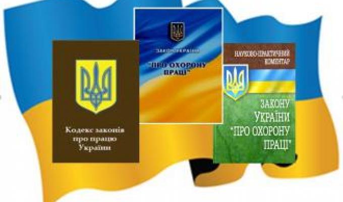 Порядок здійснення державного нагляду за додержанням законодавства про працю Порядок здійснення державного нагляду за додержанням законодавства про працю