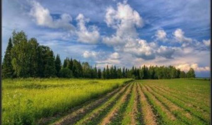 Щодо обміну земельними ділянками сільськогосподарського призначення Щодо обміну земельними ділянками сільськогосподарського призначення