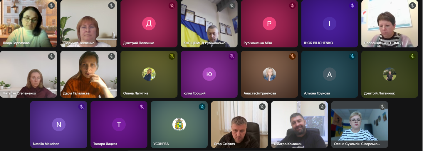робоча онлайн нарада 