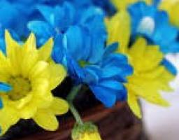 Для держслужбовців Попаснянської райдержадміністрації проведено семінар «Державна реєстрація цивільно-правових актів».
