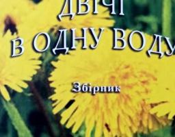 Попаснянська поетеса-прозаїк презентувала свій другий збірник «Двічі в одну воду»