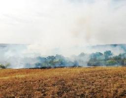 На Попаснянщині не припиняються пожежі