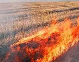 Заходи тушіння пожежі в полях