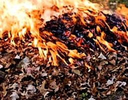 Перш ніж палити листя – добре подумай