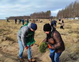 Свій внесок у загальнокорисну справу – відновлення лісів на Луганщині – вкотре зробили працівники Сєвєродонецької РДА