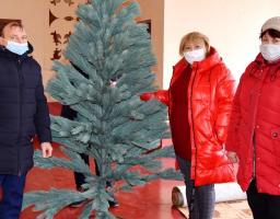 Три селищні будинки культури Попаснянського району отримали штучні новорічні ялинки