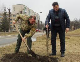 В Попасній висадили алею дерев