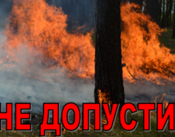 З настанням весняно - літнього періоду збільшується кількість пожеж в природних екосистемах
