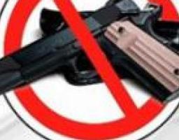 Розпочато місячник добровільної здачі вогнепальної зброї