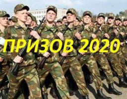 Оголошено призов на строкову службу 2020