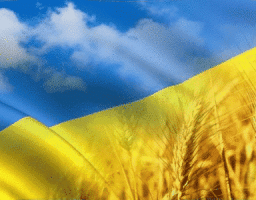 Привітання виконуючого обов’язки голови – керівника районної військово-цивільної адміністрації з Днем працівників державної виконавчої служби