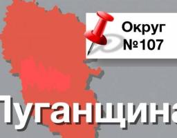  Інформація щодо окружної виборчої комісії з виборів народних депутатів України одномандатного виборчого округу №107 