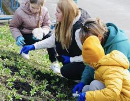 У Калуші на Франківщині з’явилась тюльпанова клумба "ВПО Луганщини"