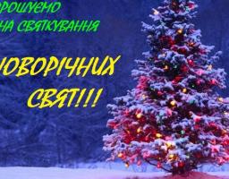 ЗАПРОШУЄМО НА СВЯТКУВАННЯ НОВОРІЧНИХ СВЯТ!!!
