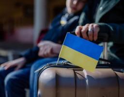 Інформаційна платформа та Telegram-бот «Повертайся додому»