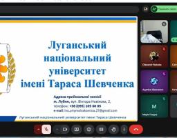 онлайн - зустріч