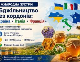 онлайн - зустріч