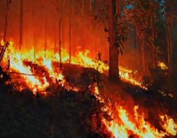 Шановні мешканці Попаснянського району! Дотримуйтесь правил пожежної безпеки!