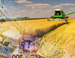 ІНФОРМАЦІЙНЕ ПОВІДОМЛЕННЯ