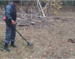 Піротехніками на Луганщині вилучено чотири одиниці вибухонебезпечних предметів 