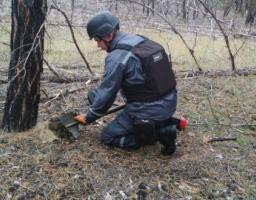 Піротехніками на Луганщині вилучено п’ять одиниць вибухонебезпечних предметів 