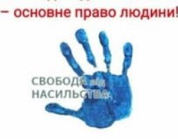 ДОМАШНЄ НАСИЛЬСТВО: КОГО І ЗА ЩО КАРАЄ ЗАКОН?