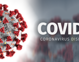 Інформація про появу вірусу COVID-19