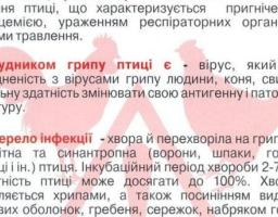 Лікування високопатогенного пташиного грипу не розроблено!!!