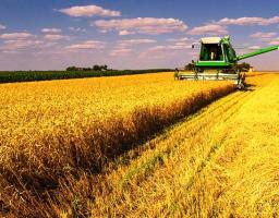 Підсумки роботи агропромислового комплексу Попаснянського району за 2018 рік.